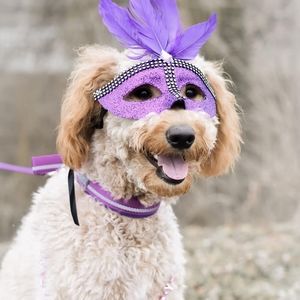 Meet your Posher, Logan